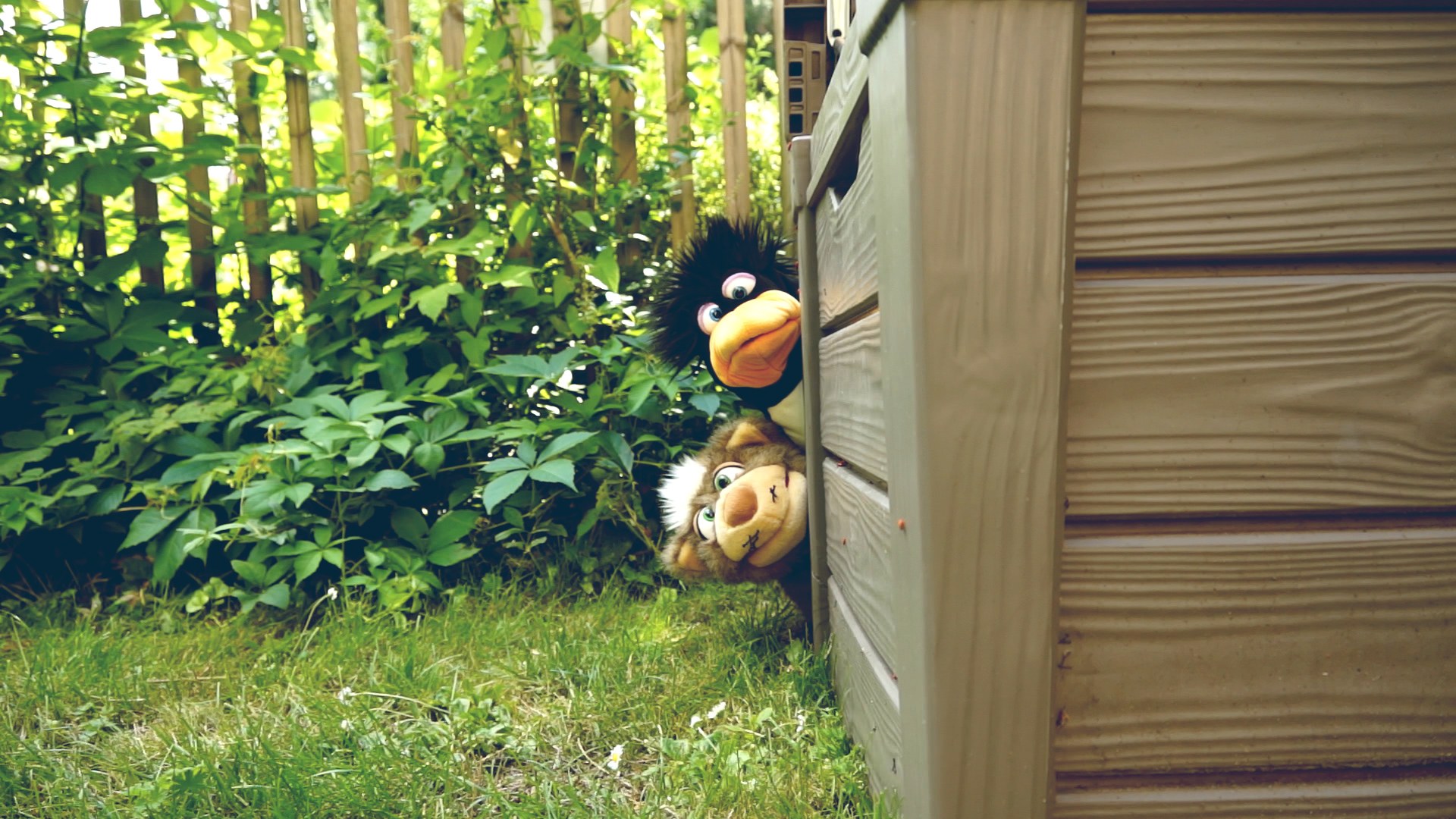 Kolman und der Pinguin