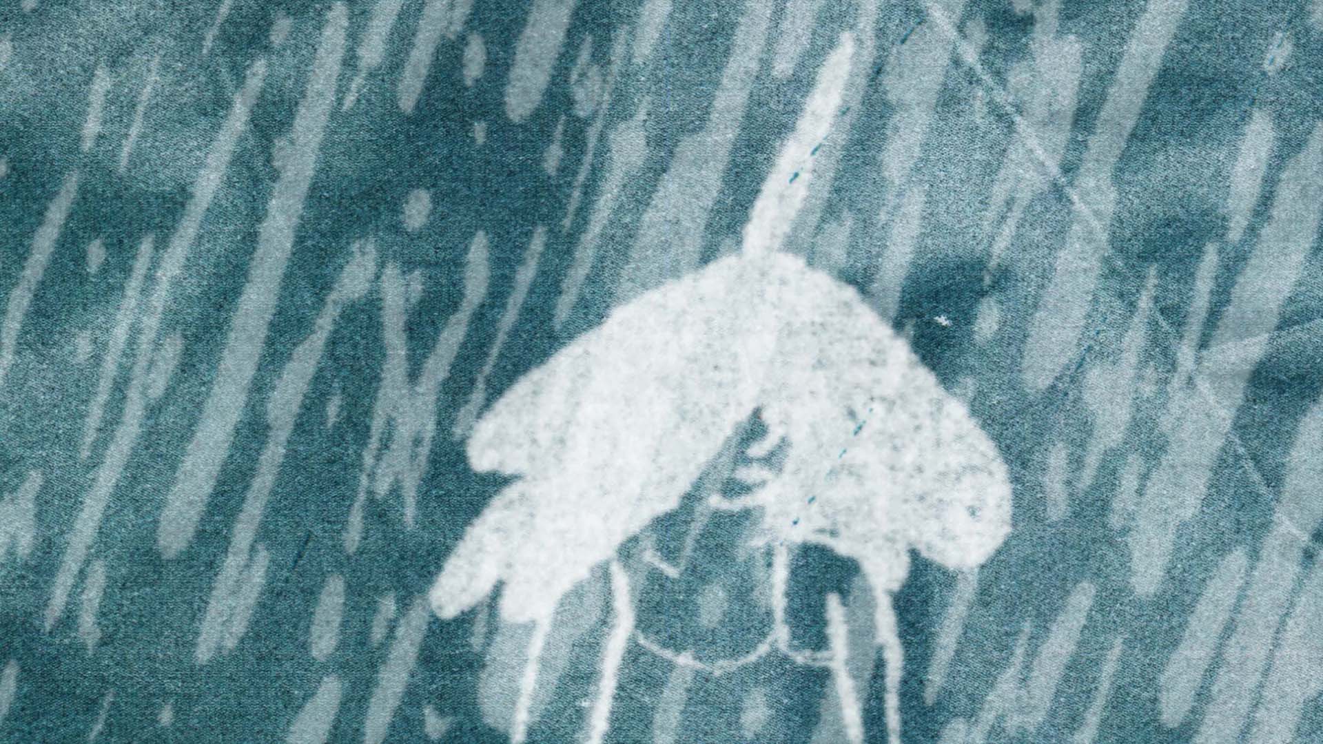 Dürrenwaid 8