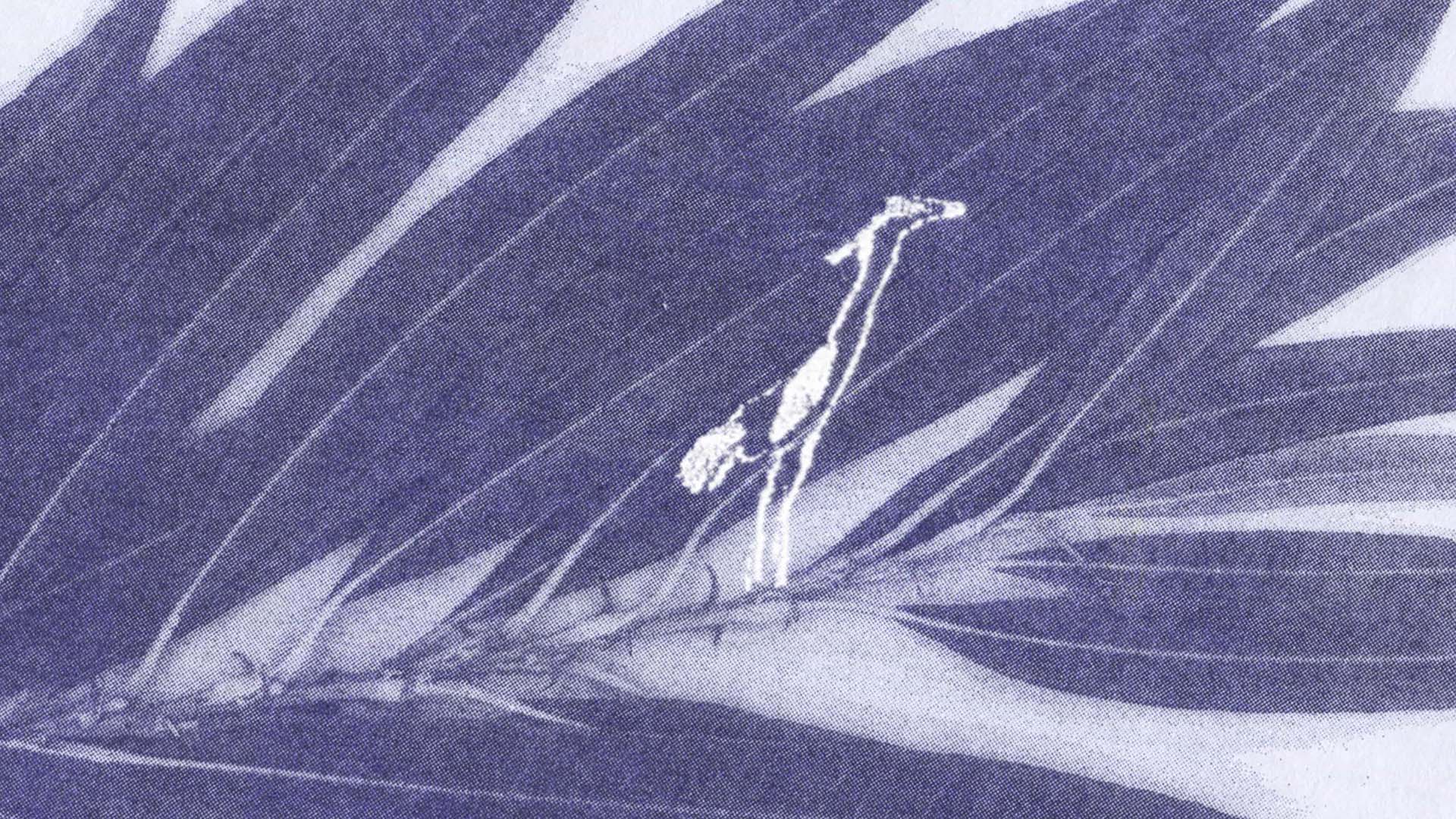 Dürrenwaid 8