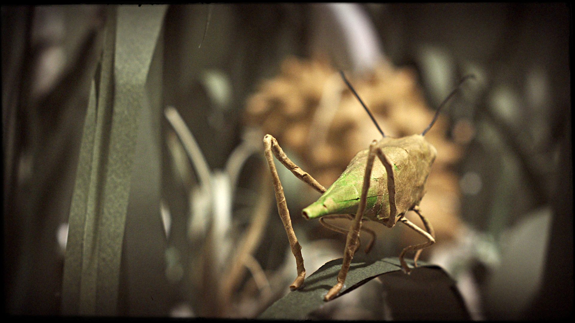 Kleider machen Freunde