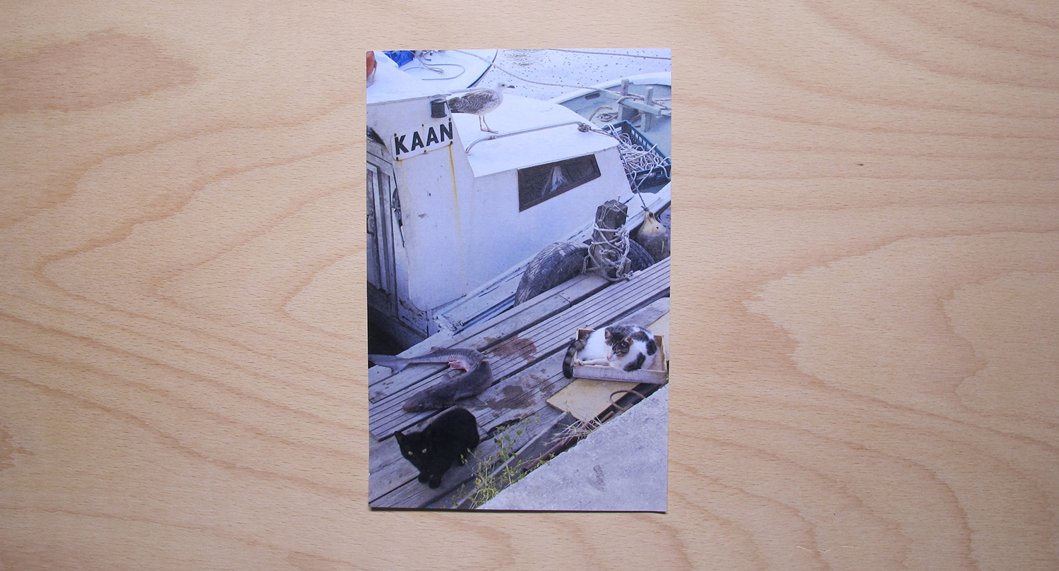 Istanbul International Electric