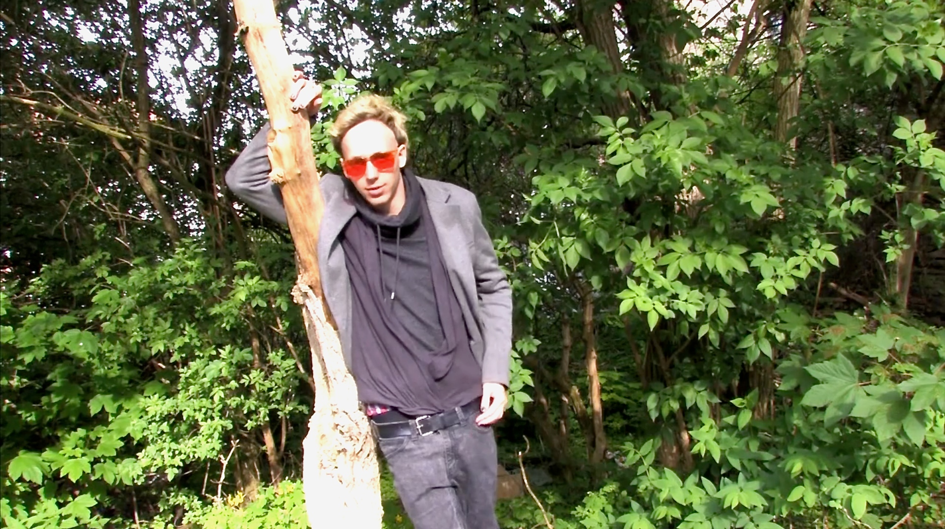 Den Wald vor lauter Bäumen