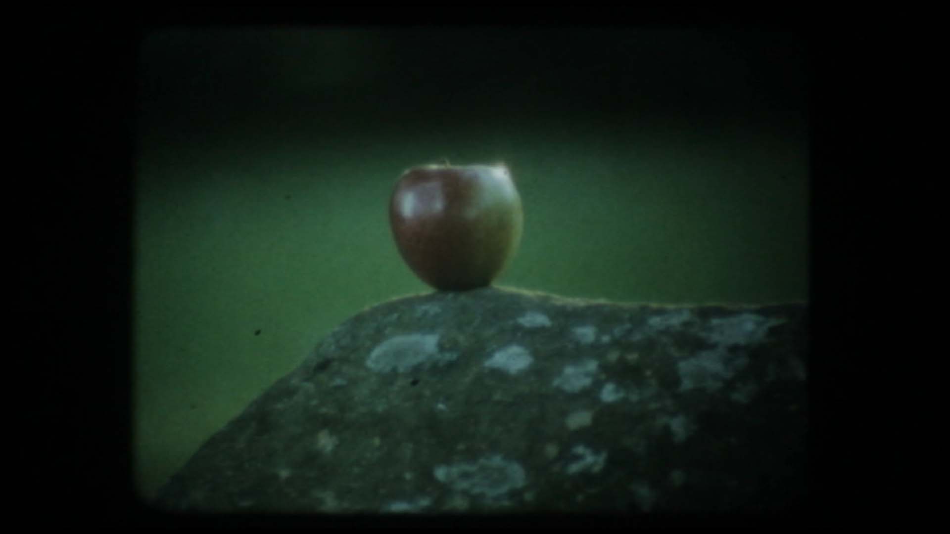 Essen vom Boden der Geschichte