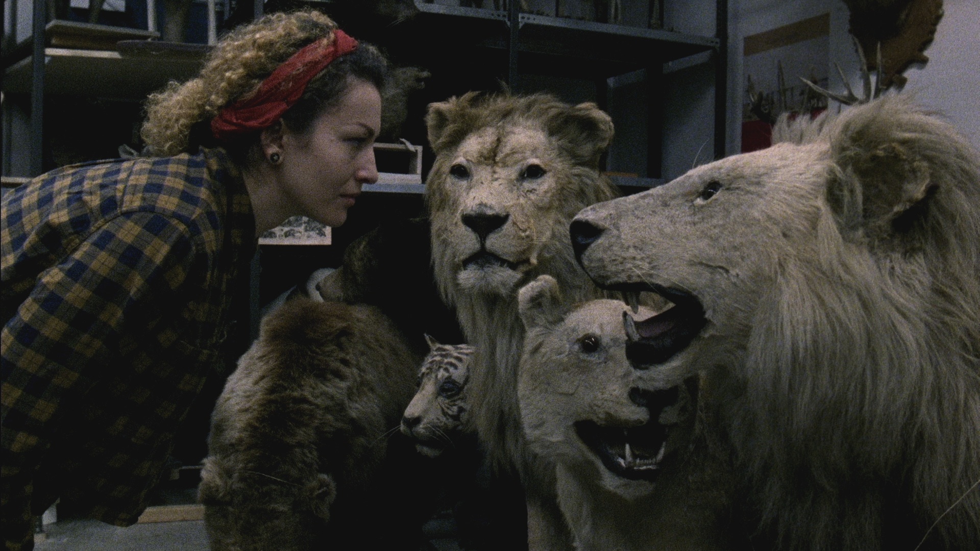 These Boots Are Made For Rollin