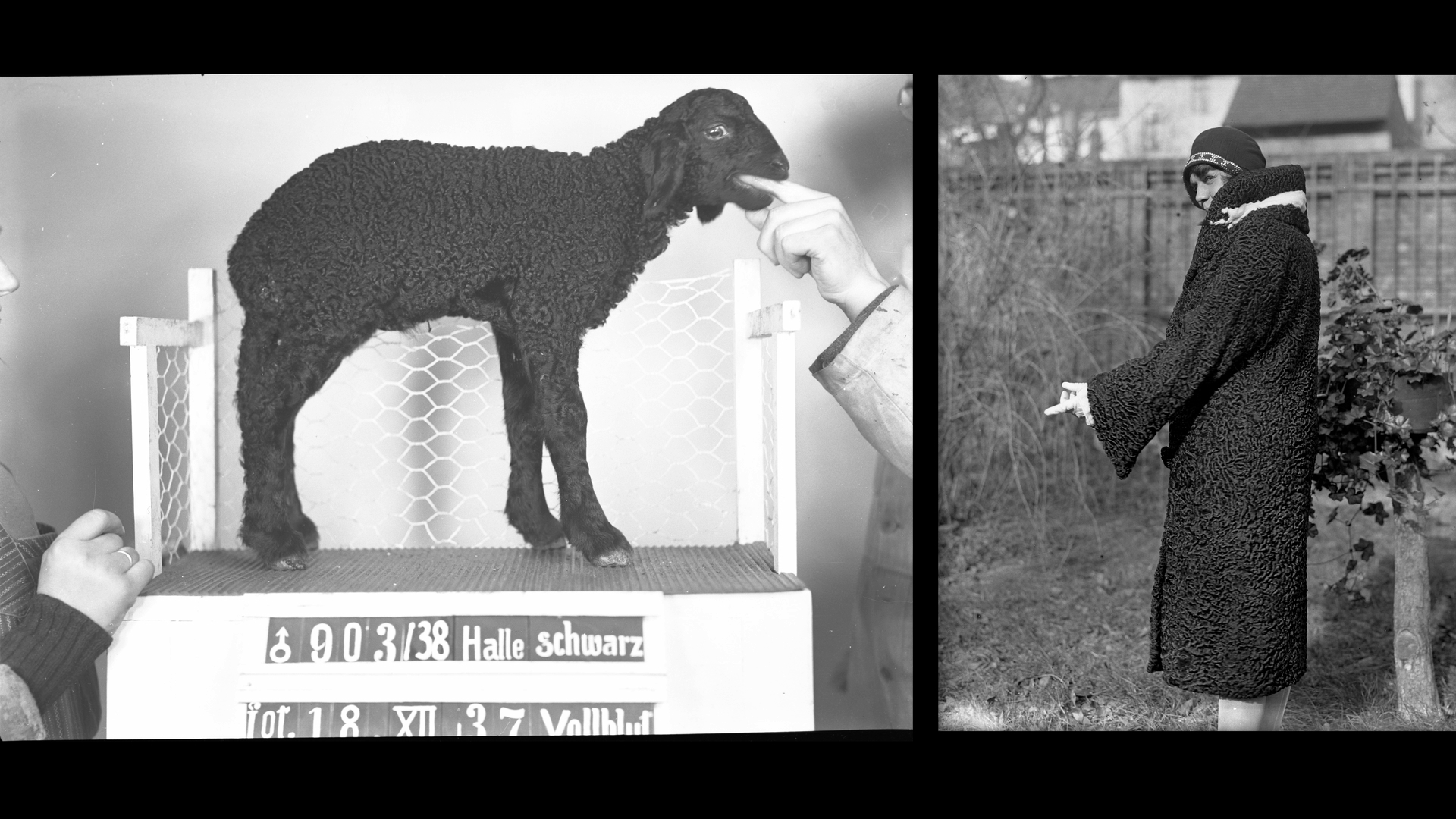 Alles Was Irgendwie Nützt