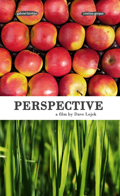 Perspective