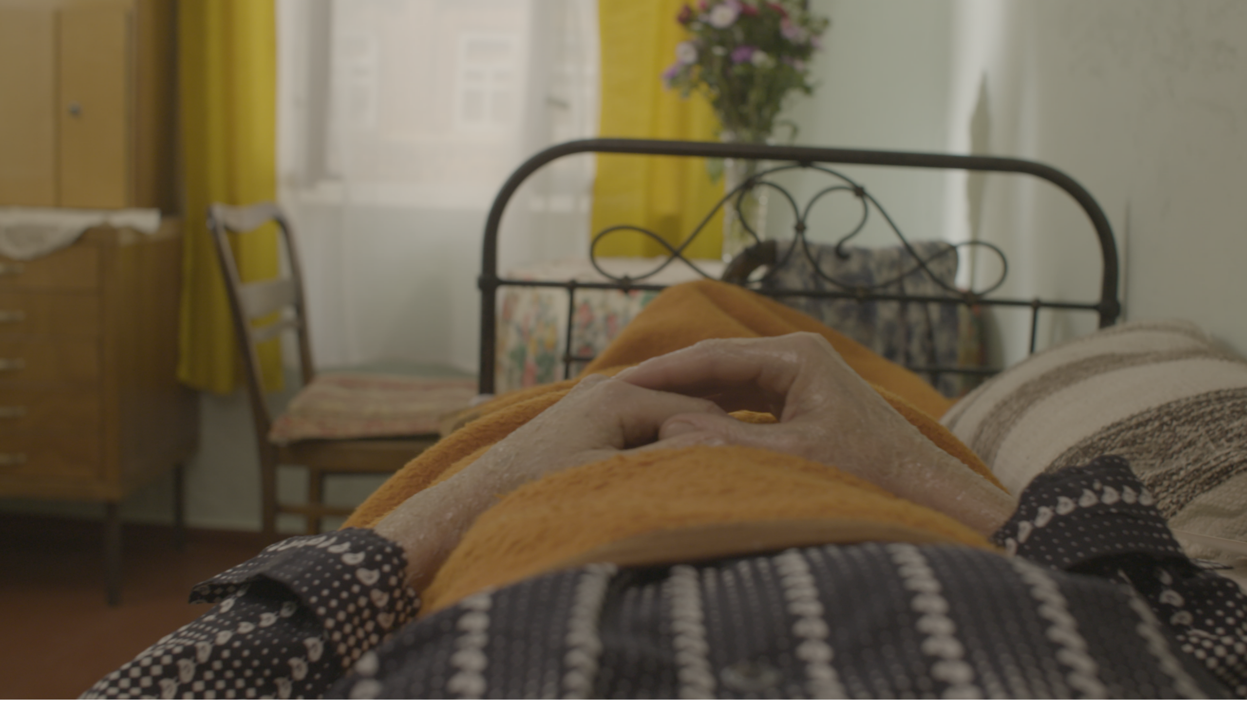 Der Morgen im Kiefernwald