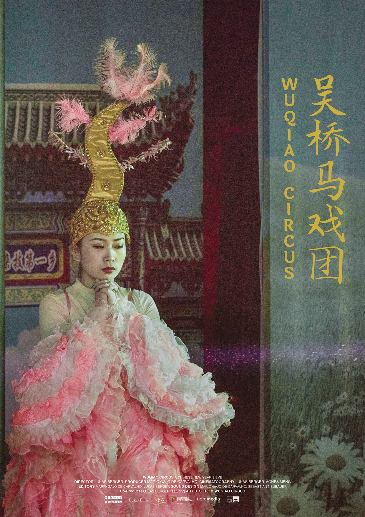 Wuqiao Circus