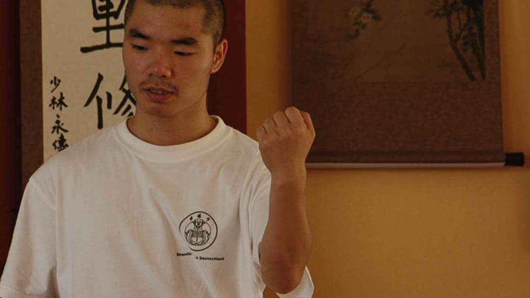 Shaolin Kampfkünste – in der westlichen Welt –